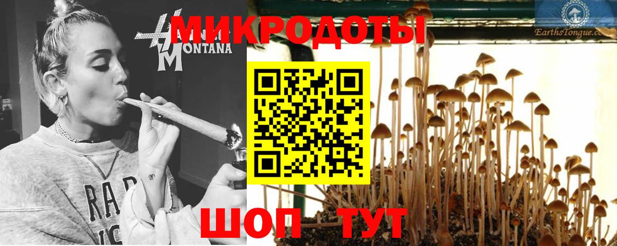 Галлюциногенные грибы прущие грибы Нарткала