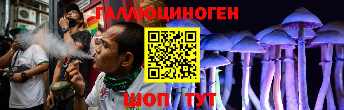 Нарткала  Псилоцибиновые грибы Psilocybine cubensis  Вход с VPN 